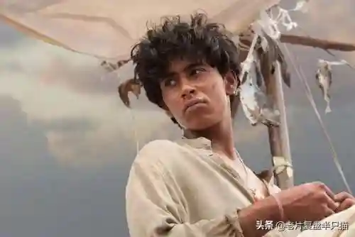 少年派的奇幻漂流(少年派隐喻深度解析)插图67