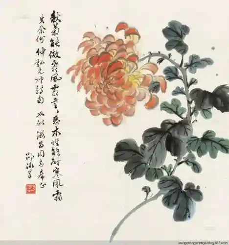 海上大师最强阵容搭配图片(航海王强者之路最佳阵容)插图2