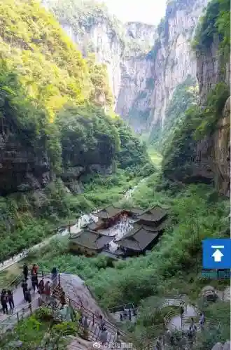 天福刺客阵容最新搭配(神天蝎最佳阵容)插图4