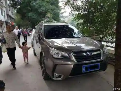 单人森林阵容怎么搭配最好(荒野迷城最强阵容)插图12