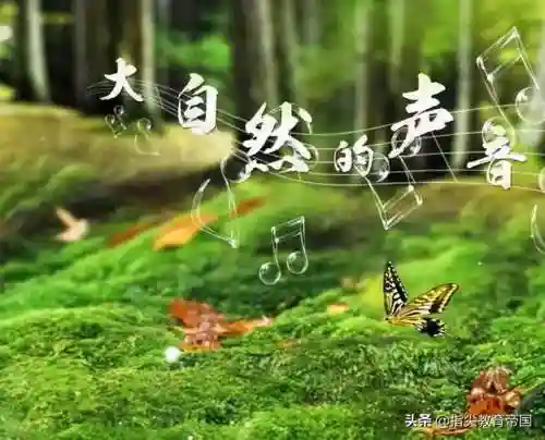 秘密的反义词(近义词大全)