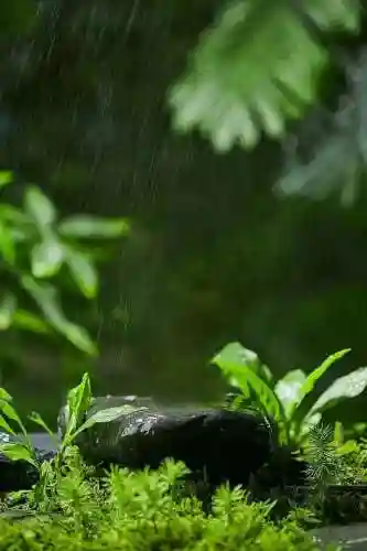 屏保图片手机壁纸2022高清动态(手机屏保壁纸)插图1