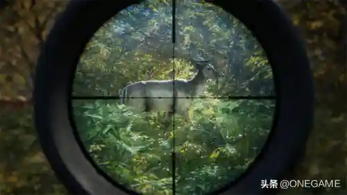 无限打猎2010(无限猎杀全文阅读)插图7