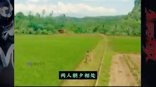 口袋觉醒奈克阵容搭配(口袋觉醒适合平民的四大最强阵容)