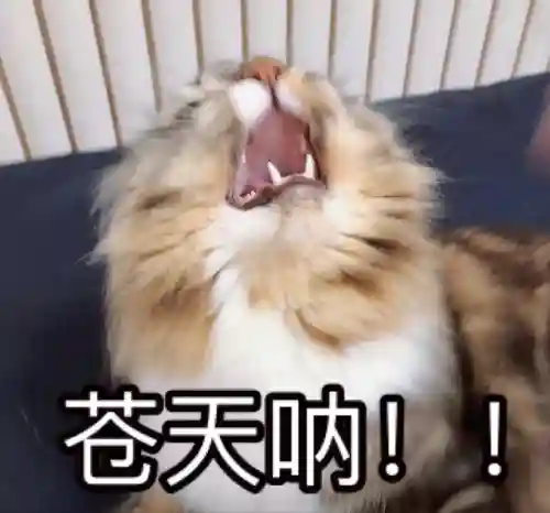 2023公认最好的流量卡(流量卡哪一款最好)