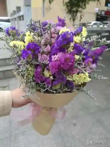 勿忘我花语和寓意及图片(勿忘我花发朋友圈)插图1