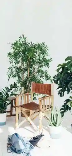 最新壁纸2023全屏(绝美壁纸超清全面屏)插图2