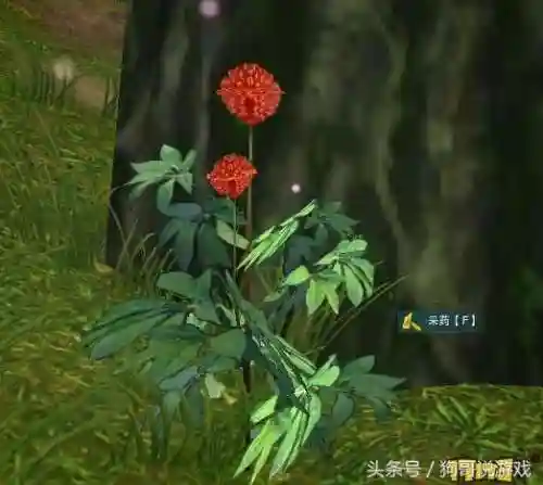 剑三甘草搭配阵容图鉴(甘草最佳搭配)插图13