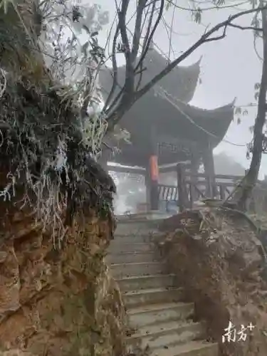天气预报查询一周15天(城市天气预报)插图2