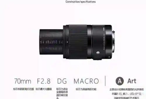 咸鱼之王2860关阵容搭配(咸鱼之王)插图35