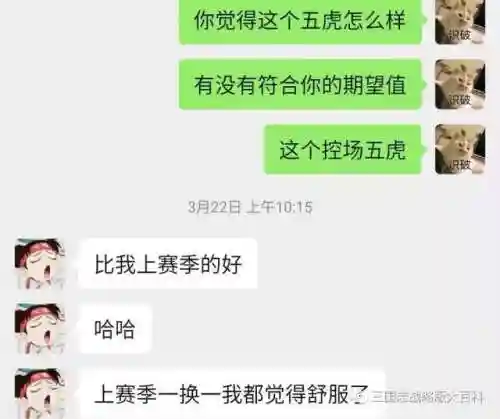 魏延流氓战法搭配什么阵容(魏延阵容t0搭配)插图9