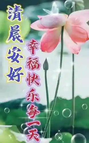 早安物语推荐阵容搭配图(心力物语最强阵容)插图1