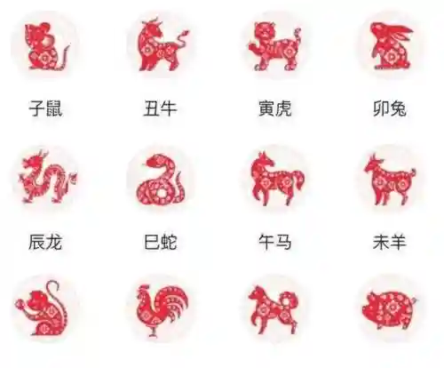 国家为什么不承认有龙(哪个国家有龙)插图11