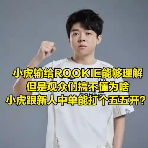上单小虎阵容搭配最新(老虎适合什么阵容)插图4