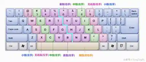 新手学五笔打字(五笔输入法快速入门教程)