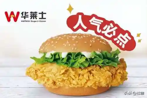 汉堡店加盟哪个牌子好(全国最火的加盟店项目)插图4