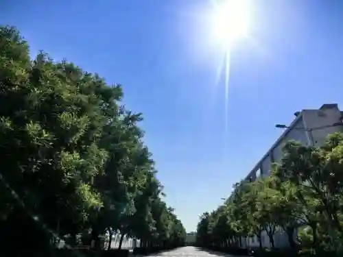 蚂蚁庄园今天正确答题答案(蚂蚁新村今日答题正确答案是什么)插图5