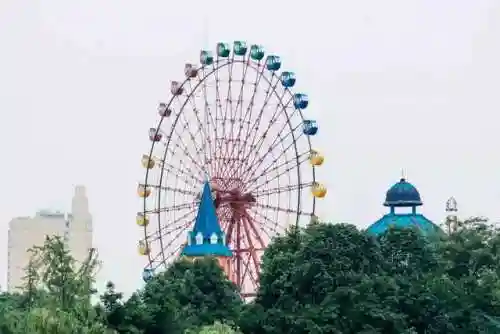 天府传说新手推荐阵容搭配(天命之子推图阵容搭配)插图1