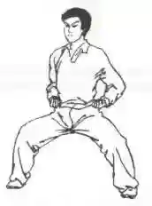 散打教学基本功(散打自学教程)插图4