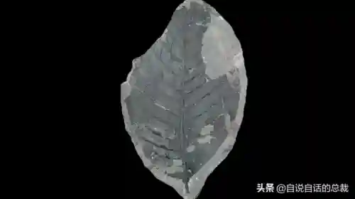 远古巨兽大复活(上古神兽饕餮电影免费)插图25 远古巨兽大复活(上古神兽饕餮电影免费)插图25