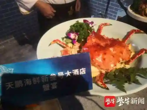 蟹王争霸怎么搭配阵容(海洋王国最强阵容搭配)插图6