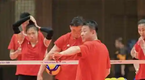 未来女排阵容搭配表图(女排服装图片欣赏)