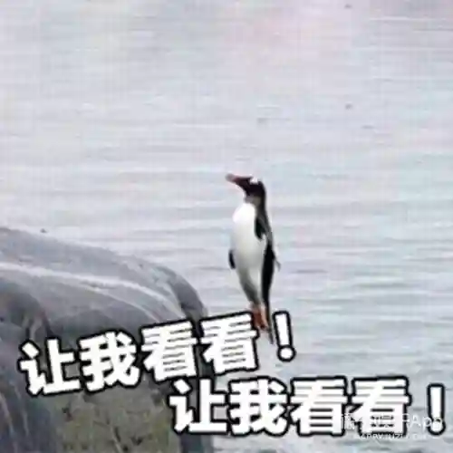 重返帝国倾城战法搭配阵容(梦幻模拟战帝国阵容搭配)插图1