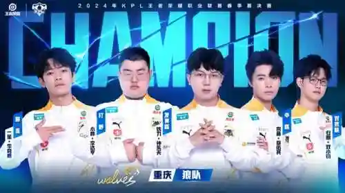 狼队小胖阵容搭配图(飞熊军最牛阵容)插图4