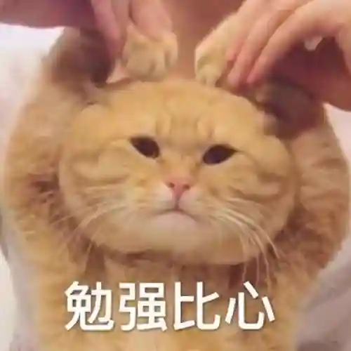 大型换装游戏(服装全部免费的换装游戏)插图28