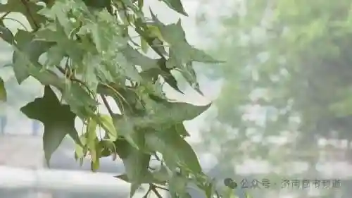 今晚解封最新消息(今天高速路口解封了吗?)插图4 今晚解封最新消息(今天高速路口解封了吗?)插图4