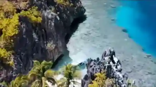 大秦赋太恶心了(大秦赋为何口碑崩塌)