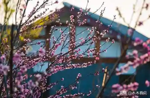 笑红尘歌词(红颜知己歌曲原唱)插图1