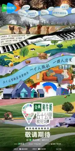神秘4嘉宾阵容搭配攻略(加查俱乐部神仙搭配)