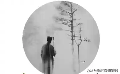 唐诗三百首最经典(唐诗五百首大全)插图1