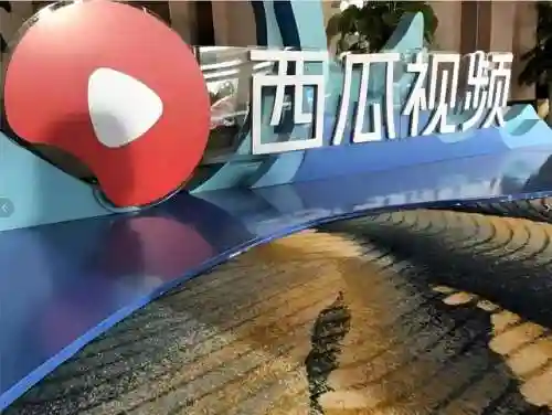 哔哩哔哩网页版入口(哔哩哔哩免费安装)插图2