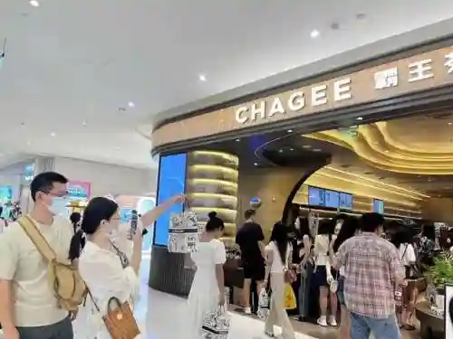 女王霸王阵容搭配图片高清(潘多拉阵容搭配推荐)插图2