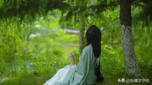 网络小说50本经典排名(网络小说排名前十)插图9