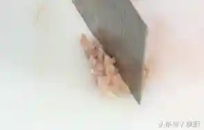 东壁龙珠的阵容搭配(龙珠激斗阵容搭配大全)