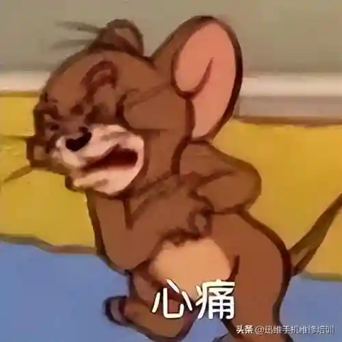 手机照片删除了怎么恢复(照片恢复大师免费版)