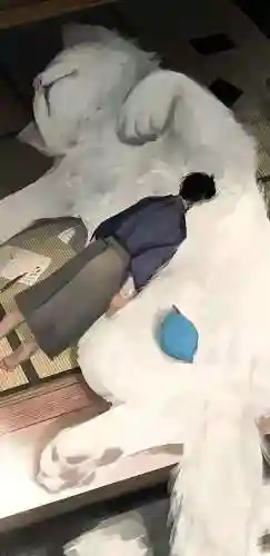 手机壁纸超清(极简黑手机壁纸)插图37