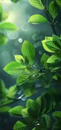 屏保图片手机壁纸2022高清动态(手机屏保壁纸)插图17