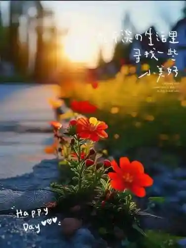 早安物语推荐阵容搭配图(心力物语最强阵容)插图23