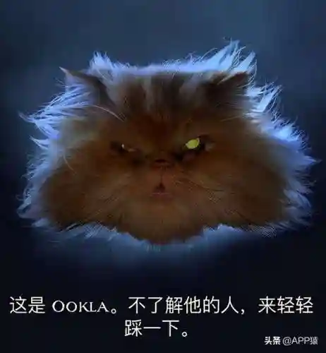 网速测试软件(检测网速的手机app)插图3