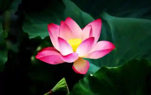 任何成就都是(成绩与成就的区别)插图3