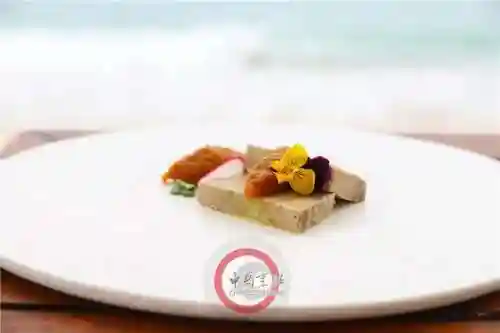 法式鹅肝阵容怎么搭配(法式鹅肝的做法)插图8