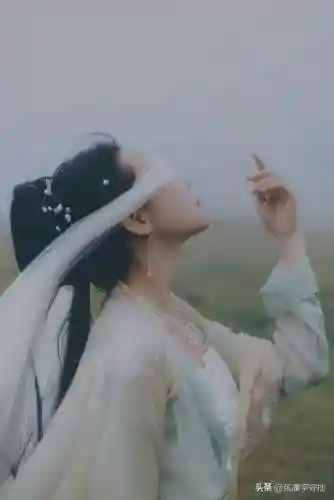 网络小说50本经典排名(网络小说排名前十)插图5