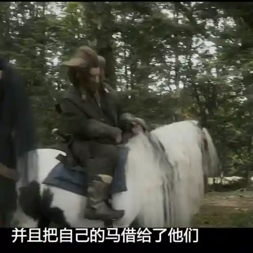 霍比特人2(霍比特人2在线观看免费国语)插图3