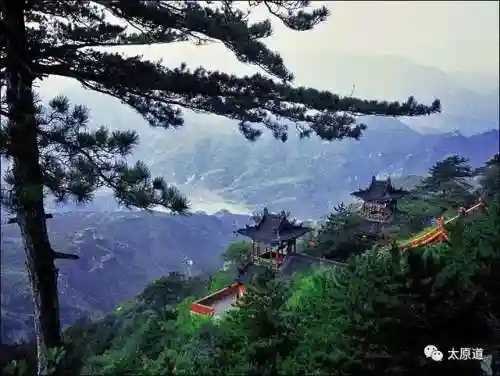 群飞刘亦菲刘诗诗杨幂杨颖(刘亦菲刘诗诗杨幂杨颖电视剧上映时间)插图14