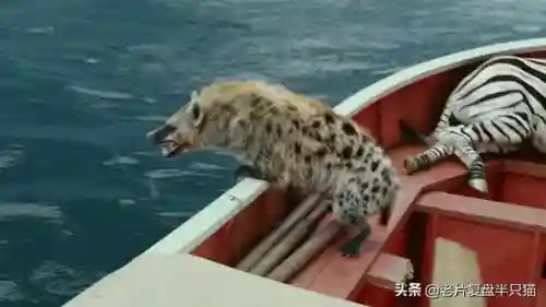 少年派的奇幻漂流(少年派隐喻深度解析)插图20