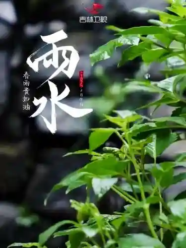 山水澄辉阵容怎么搭配(山海镜花t0阵容)插图5 山水澄辉阵容怎么搭配(山海镜花t0阵容)插图5